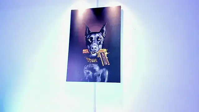 stiven 24cm online show from 15, 11, 2025