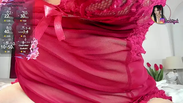 Snapshot of Scarlett_Jank chatting on 15, 5, 2026 Scarlett Jank online show from 15, 5, 2026