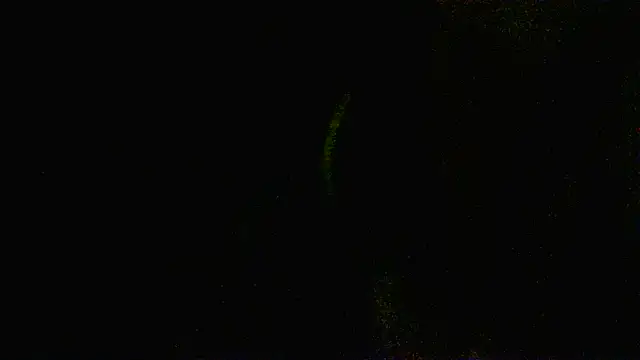 Zulreyna online show from 6, 5, 2026