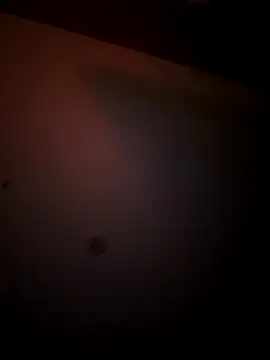 mixedswanger online show from 24, 11, 2025