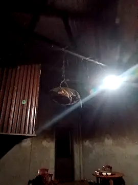 blonde blg online show from 12, 2, 2026