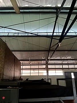 MonasticCanine online show from 26, 11, 2025