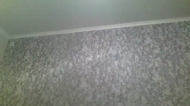 Snapshot of antosha555 chatting on 29, 11, 2025 antosha555 online show from 29, 11, 2025