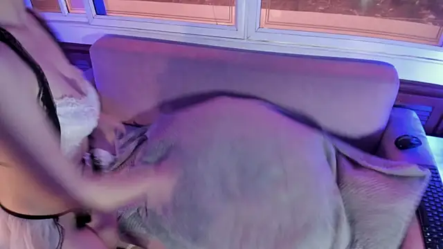 ReiAyanamy online show from 28, 3, 2026