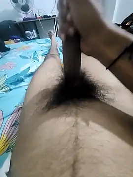 Noxvorlen online show from 14, 11, 2025