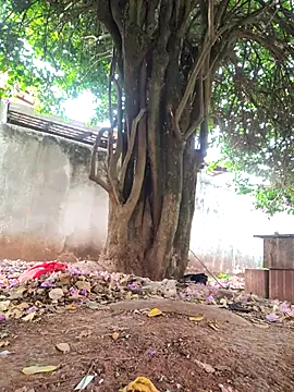 Lucasjandre online show from 22, 11, 2025