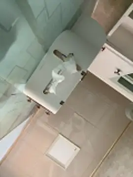 oo-shanshan online show from 17, 12, 2025