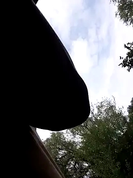 Mc02 online show from 11, 11, 2025