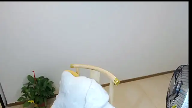 Snapshot of Shaurk chatting on 23, 2, 2026 Shaurk online show from 23, 2, 2026