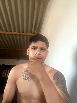 Purry 14 online show from 26, 11, 2025