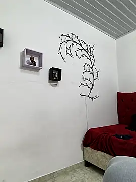 TerryGrace online show from 7, 3, 2026