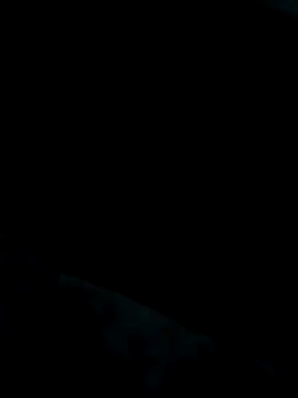 Snapshot of Heterobusca chatting on 20, 11, 2025 Heterobusca online show from 20, 11, 2025