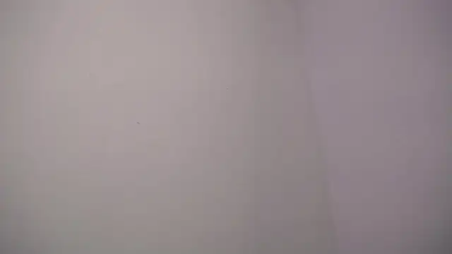 selene rouse  online show from 14, 11, 2025