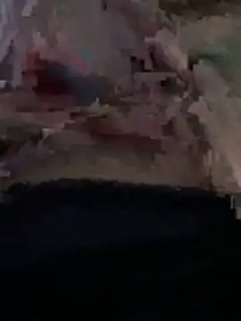 Snapshot of olive3356 chatting on 18, 12, 2025 olive3356 online show from 18, 12, 2025