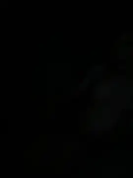 Snapshot of oIAcyber chatting on 30, 4, 2026 oIAcyber online show from 30, 4, 2026