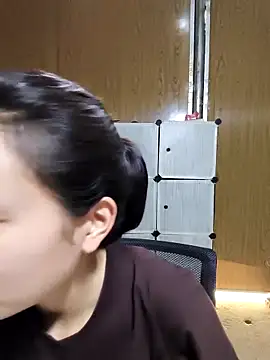 Cat-meow online show from 13, 4, 2026