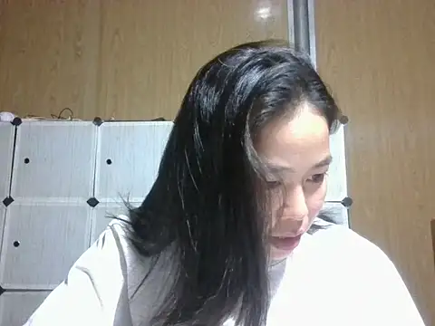 Cat-meow online show from 13, 5, 2026