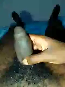 dicksosmall online show from 21, 11, 2025