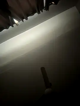 Snapshot of DARG_17 chatting on 4, 12, 2025 DARG 17 online show from 4, 12, 2025