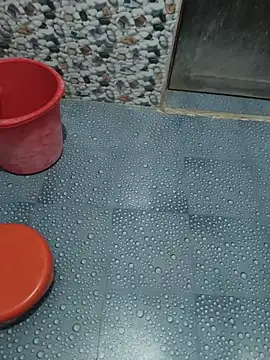 Sainicpl online show from 3, 12, 2025