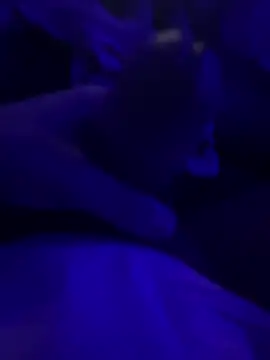 darknebula80 online show from 25, 2, 2026