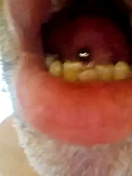 Snapshot of CDY74 chatting on 28, 11, 2025 CDY74 online show from 28, 11, 2025