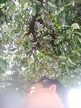 nori dunda online show from 17, 12, 2025