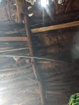 Xxx suhana online show from 2, 2, 2026