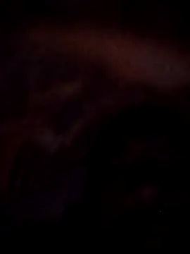 Roy   121 online show from 23, 11, 2025