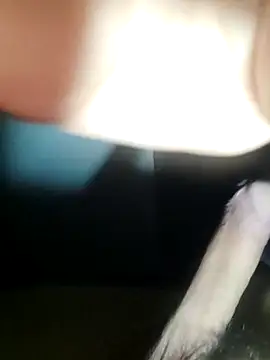 dieterrpuebl online show from 22, 12, 2025