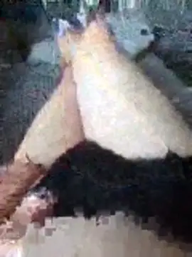 boo202179 online show from 21, 11, 2025