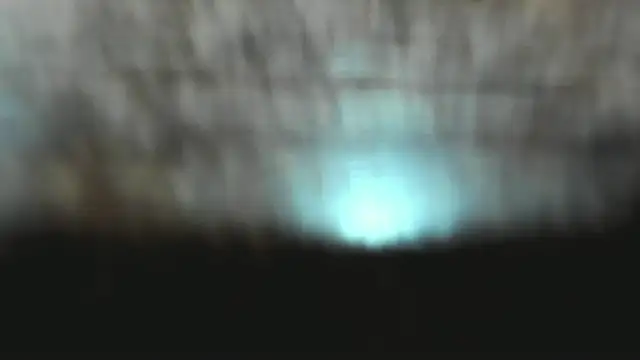 Izelevans online show from 15, 1, 2026