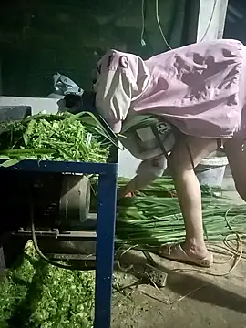 Snapshot of nangmo chatting on 7, 3, 2026 nangmo online show from 7, 3, 2026