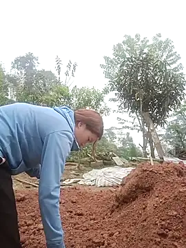 Snapshot of nangmo chatting on 12, 3, 2026 nangmo online show from 12, 3, 2026