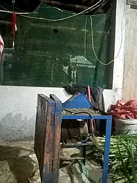 Snapshot of nangmo chatting on 12, 3, 2026 nangmo online show from 12, 3, 2026