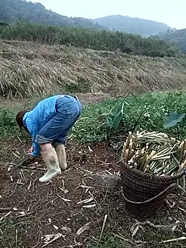 Snapshot of nangmo chatting on 18, 3, 2026 nangmo online show from 18, 3, 2026