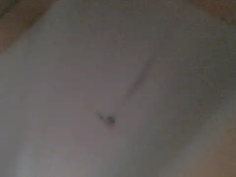 BellahG90 online show from 22, 11, 2025