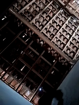 Ruan34635 online show from 6, 4, 2026