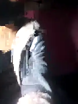 Snapshot of beba1100 chatting on 30, 11, 2025 beba1100 online show from 30, 11, 2025