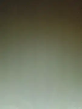 ArgentinaShani online show from 11, 2, 2026