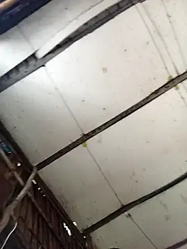 Lin-kute98 online show from 29, 3, 2026