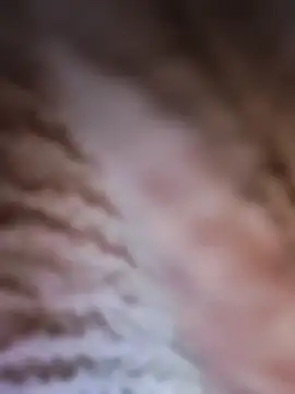 Punam panjabi online show from 28, 2, 2026