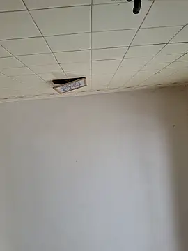 wakahoe online show from 22, 3, 2026