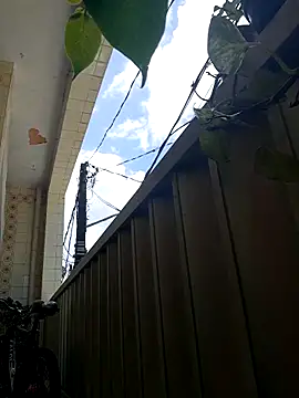 wakahoe online show from 8, 4, 2026