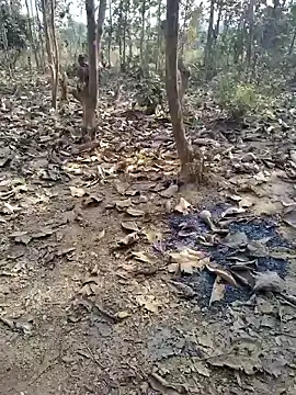 88zaifkhan88 online show from 8, 1, 2026