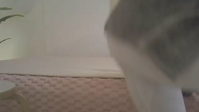 kyono-iyashi online show from 8, 3, 2026