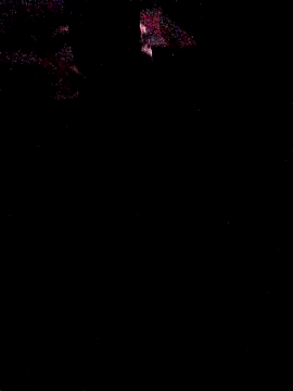 spartan24cm online show from 28, 11, 2025