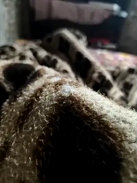 Mahi-Aman online show from 5, 12, 2025