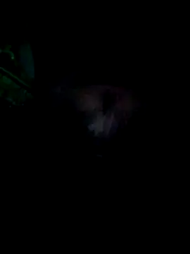 KF hway online show from 25, 3, 2026