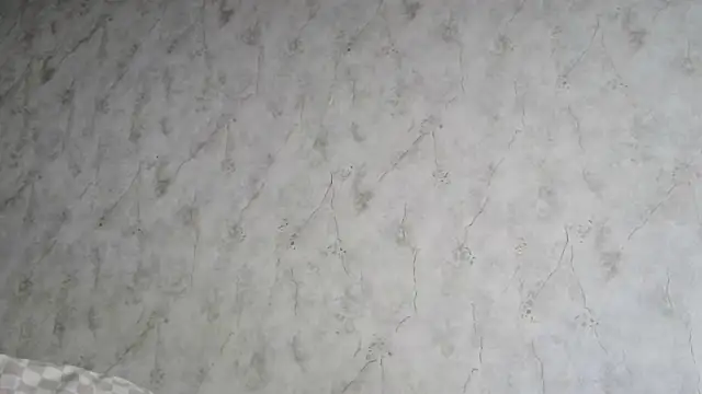 AliceWonderLure online show from 3, 12, 2025